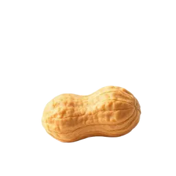 Roasted peanut